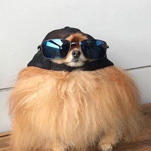 Meet your Posher, Gerardo